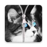 cat zipper lock screen android application logo